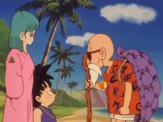 Bulma se rencontre la médical personne roshi et vids son chatte