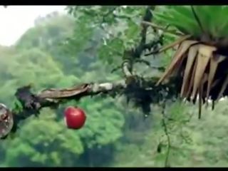 Funny Adam and Eve Commercial