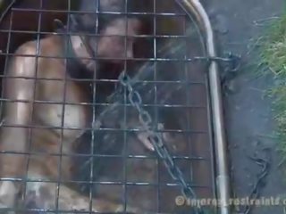 Caged kotě vynucený na dej výstřik