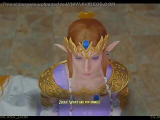 أميرة zelda يجتمع لها جديد ملك