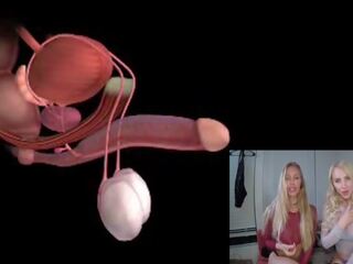 Uros- orgasmia anatomy explained educational joi: vapaa xxx klipsi 85