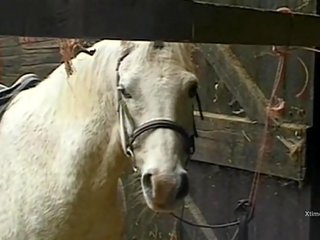 Trágár vad x névleges videó -ban egy istálló mert csintalan farm lányok