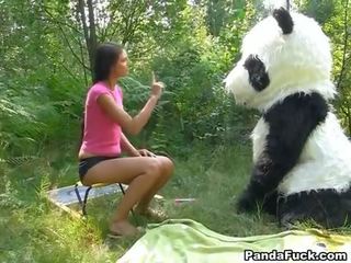 Pohlaví v the les s a obrovský hračka panda